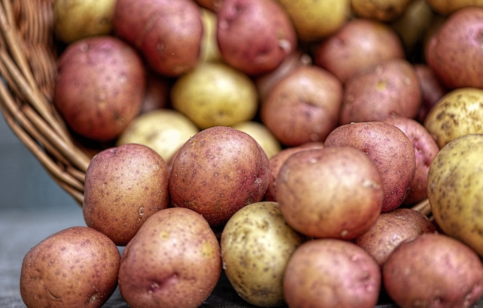 Wpływ konsumpcji ziemniaków i marchwi na rozwój cukrzycy typu 1 u dzieci z genetycznymi predyspozycjami