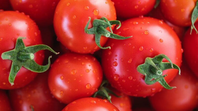 Konsumpcja soku pomidorowego jako potencjalna metoda na zwiększenie wytrzymałości kości