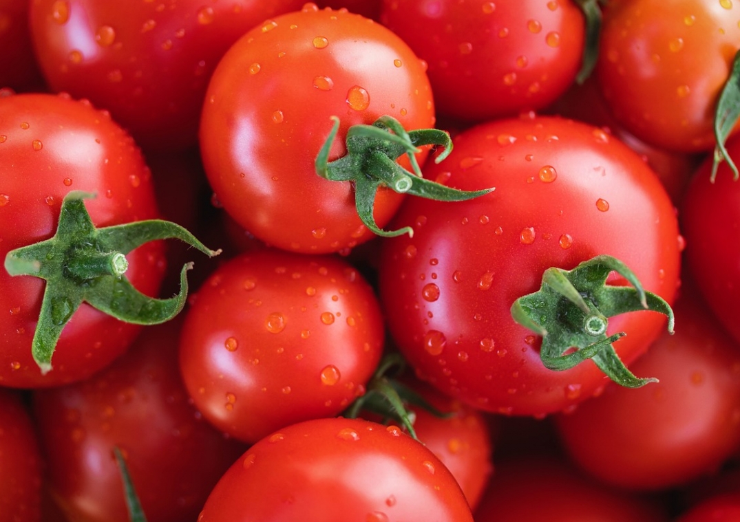 Konsumpcja soku pomidorowego jako potencjalna metoda na zwiększenie wytrzymałości kości
