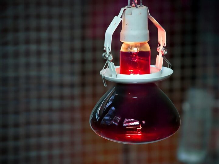 Lampa na podczerwień: działanie, zastosowanie i przeciwwskazania