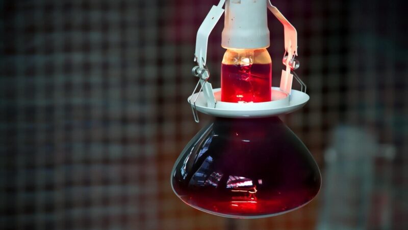 Lampa na podczerwień: działanie, zastosowanie i przeciwwskazania