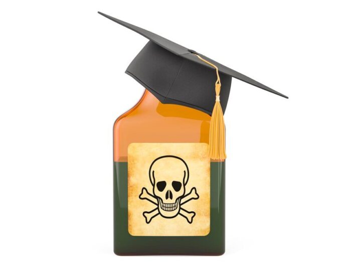 Bezpieczeństwo domowe: Skuteczna trutka na szczury – jak działa i po jakim czasie przynosi efekty